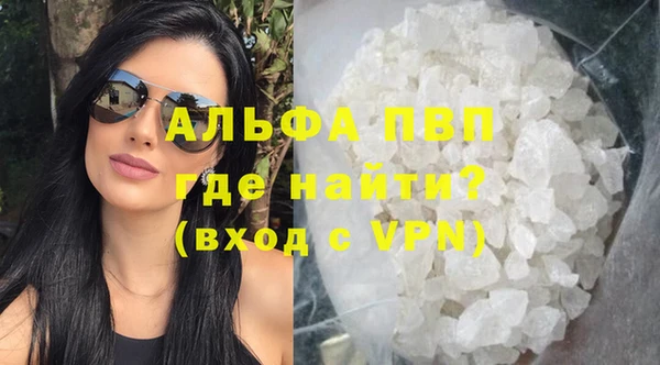 индика Арсеньев