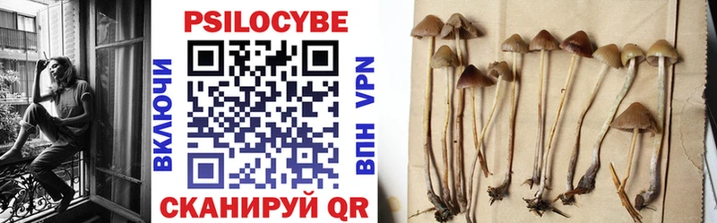 кракен ссылки Верхняя Тура Псилоцибиновые грибы GOLDEN TEACHER